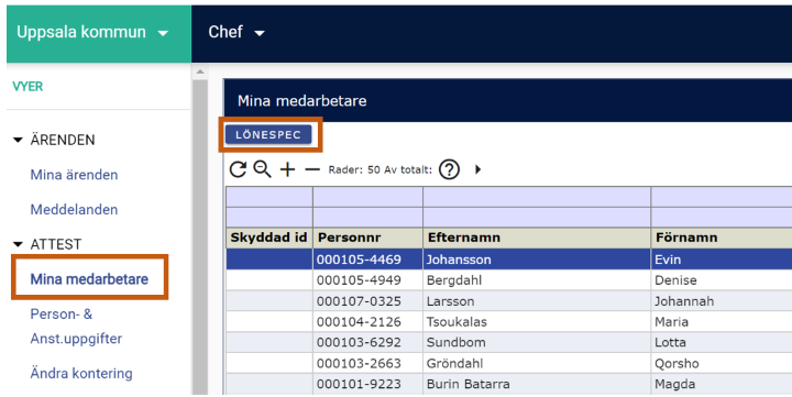 Kontrollera lönespec i HRM